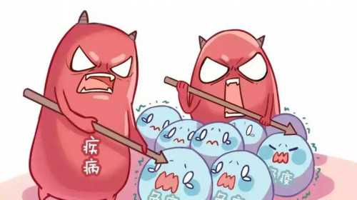 卵泡透声差可以怀孕吗~~助孕机构费用价格