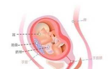 宫颈充血怎么治痊愈（宫颈息肉费用）